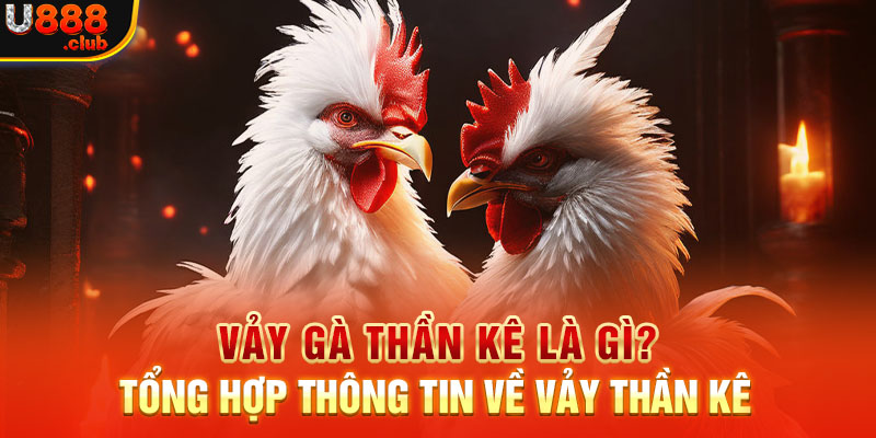 Vảy Gà Thần Kê Là Gì? Tổng Hợp Thông Tin Về Vảy Thần Kê 